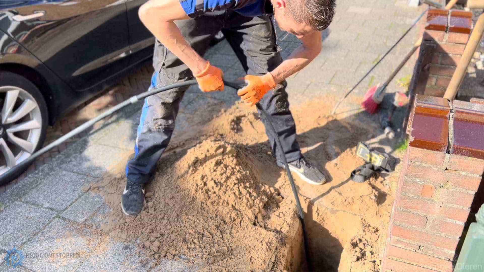 Riool Verstopt Dieren