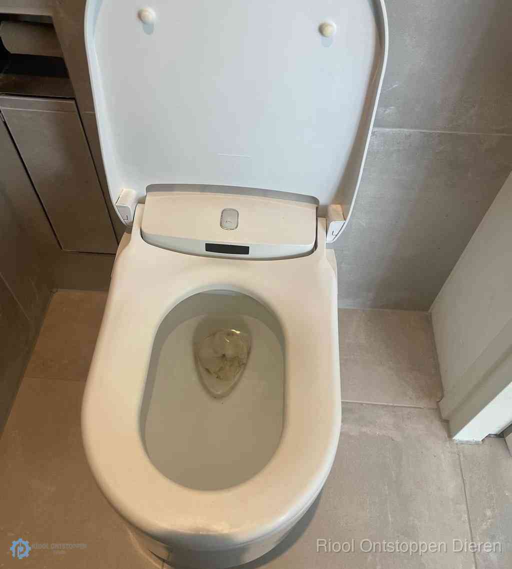 Toilet Ontstoppen Dieren